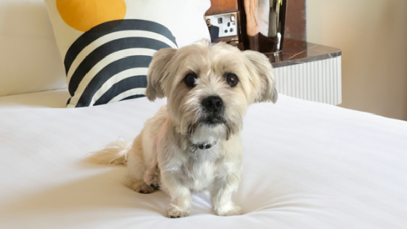 Untitled design - 2025-11-07T145637.358