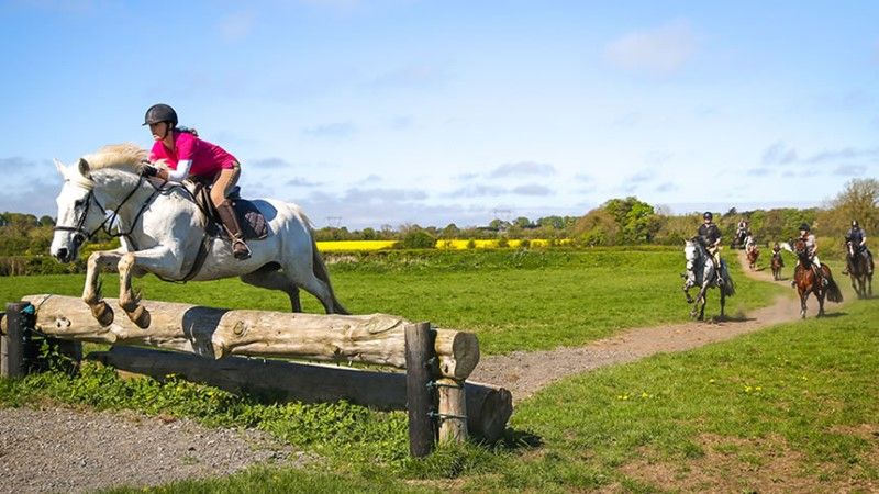 horse-riding-near-dublin-5 (Custom)