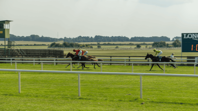 The Curragh Racecourse, Newbridge, Co Kildare_master (1) (Custom)