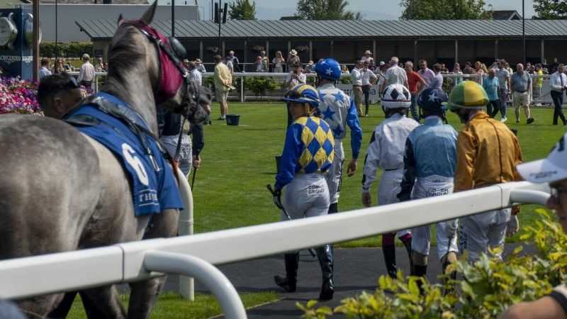 The Curragh Racecourse, Newbridge, Co Kildare_Web Size (2) (Custom)
