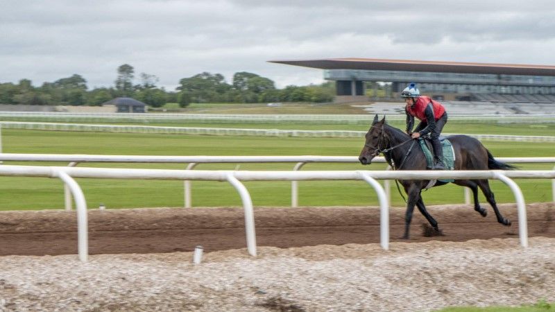 The Curragh Racecourse, Newbridge, Co Kildare_Web Size (3) (Custom)
