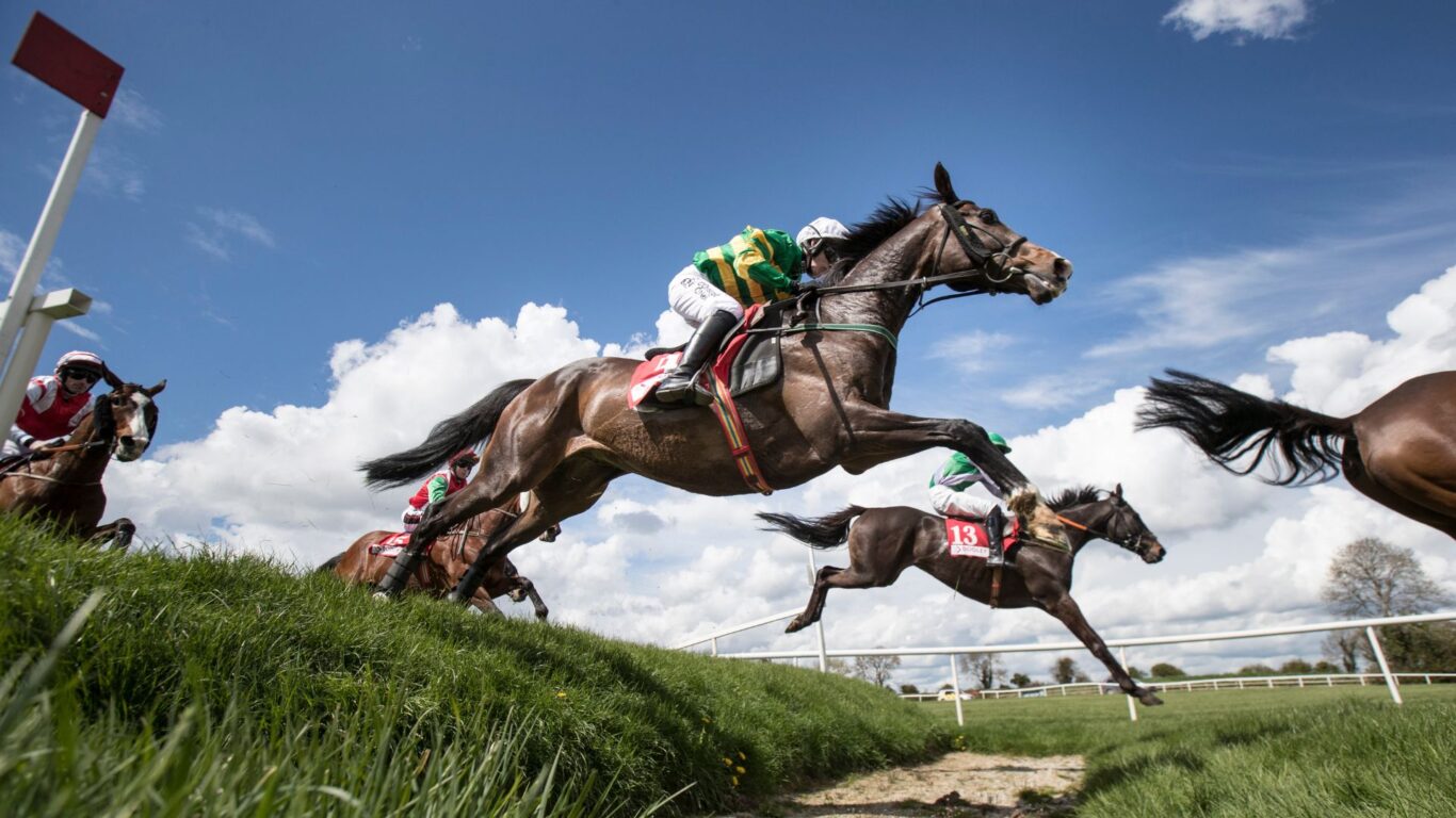 PunchesTown Festival
