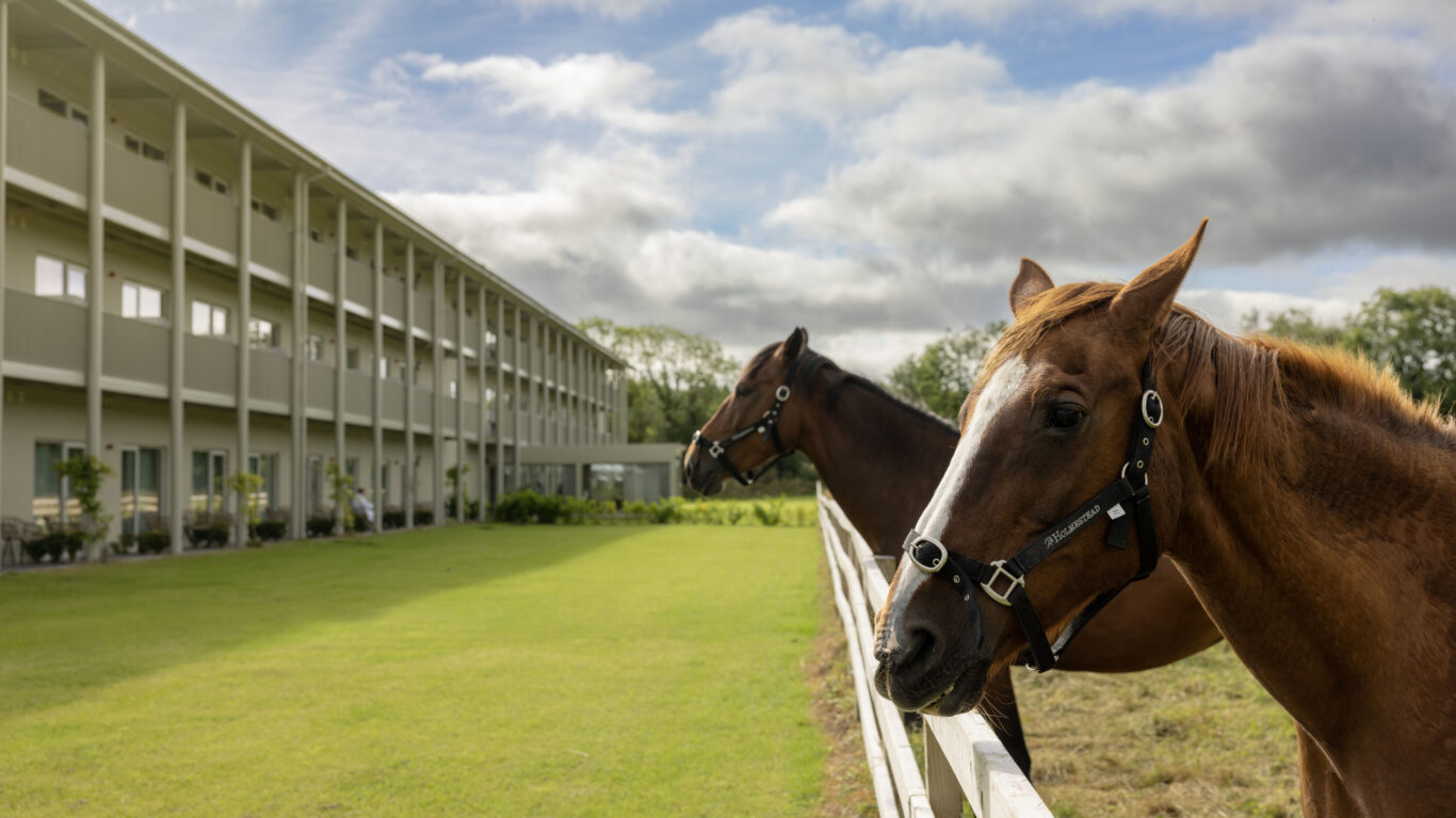 The Club Hotel at Goffs 2024